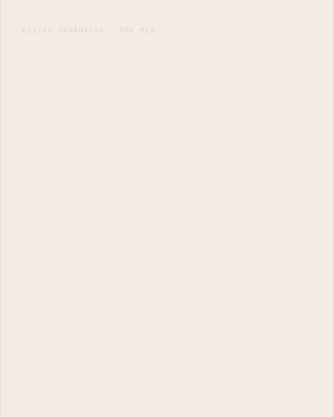 Foto cliente de consultoria de posicionamiento en buscadores